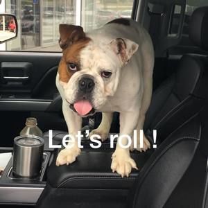 Meet your Posher, Ryan